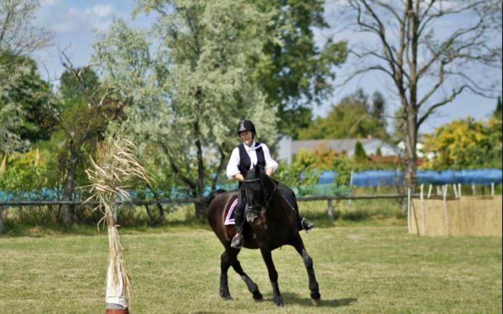 Gewichtshilfen beim Reiten