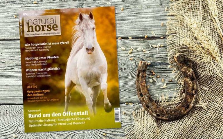 Natural Horse