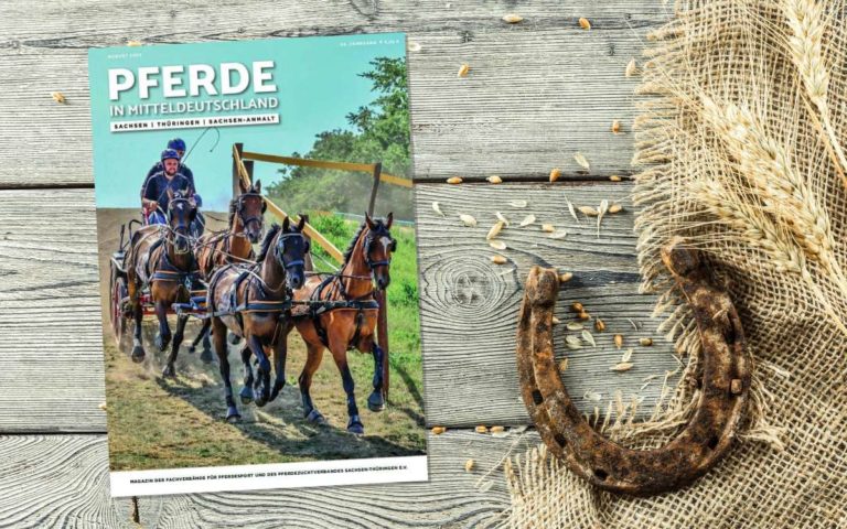 PFERDE in Mitteldeutschland
