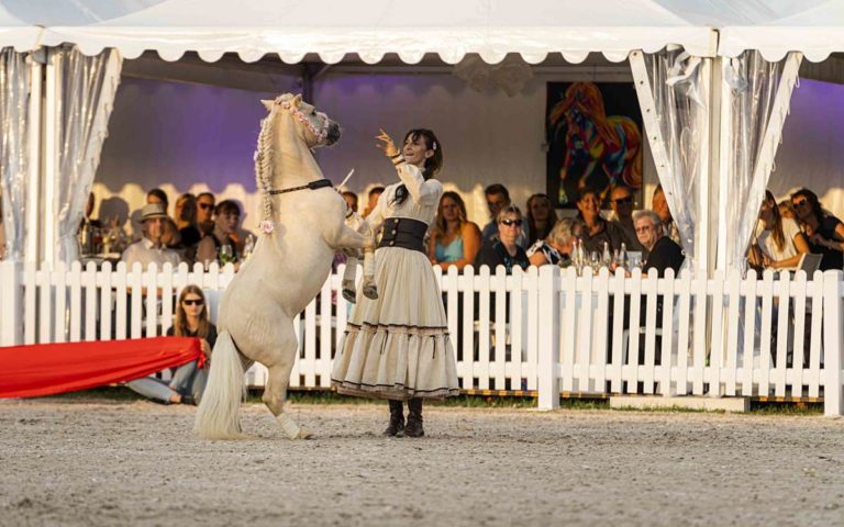 Magische GALA-Shows auf der eurocheval 2025