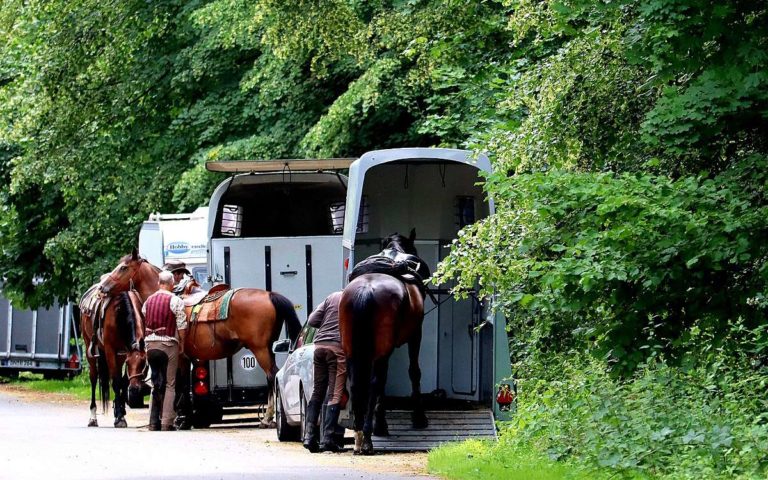 Tipps für einen stressfreien Pferdetransport