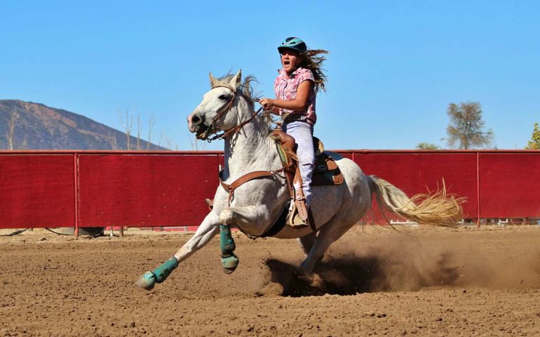 Kopfkino beim Reiten – wie abstellen?