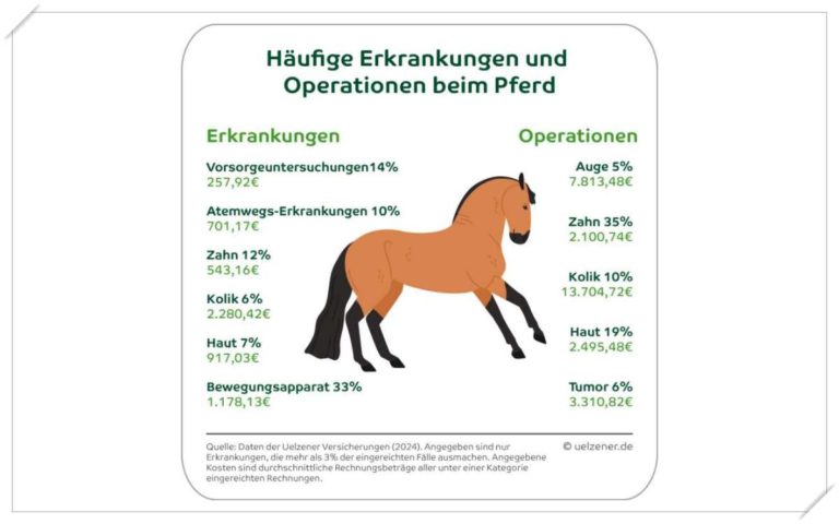 Welche Erkrankungen treten bei Pferden besonders häufig auf?