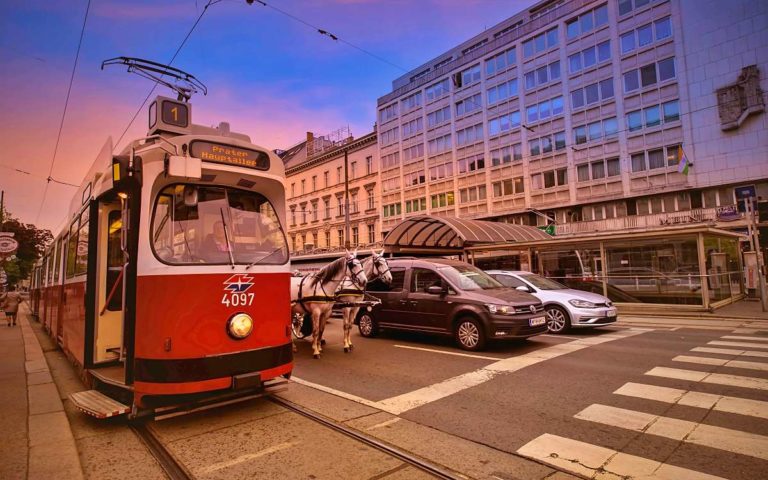 Pferdeschwanztour – Für mehr Tierwohl im Tourismus!