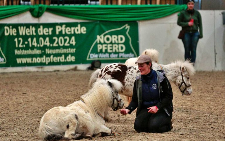 Werde Teil der NORDPFERD 2026
