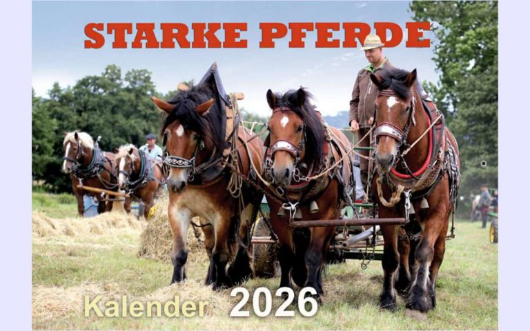 STARKE PFERDE Kalender 2026